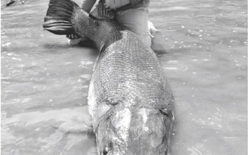 GARGANTUAN CATCH