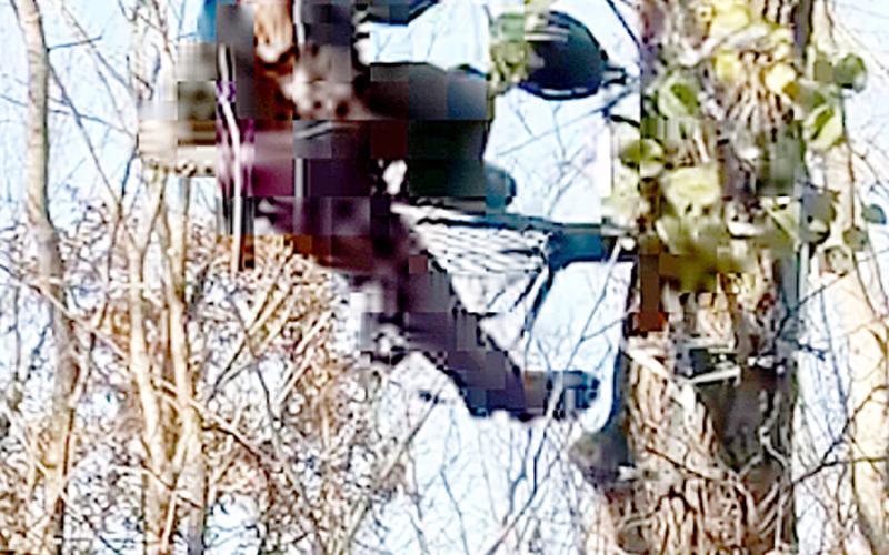This screenshot image from the TSSA Facebook page shows a hunter falling from a lock-on stand platform. The hunter does not appear to be wearing a safety harness or using a safety line of any kind. The powerful video can be seen in full at facebook.com/reel/24427188656930935. Courtesy Hunter Safety Systems