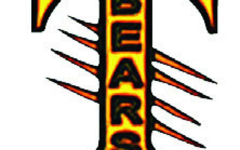Shelby County basketball playoff action