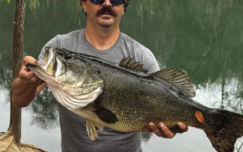 On February 5, musician Willie Pipkin of Dripping Springs was fishing from the shores of Lady Bird Lake in downtown Austin when he hooked and landed a 14.05-pound largemouth bass that is a new water body record for the 468-acre reservoir. Pipkin subsequently loaned the fish to Toyota ShareLunker program. Courtesy Photo Willie Pipkin