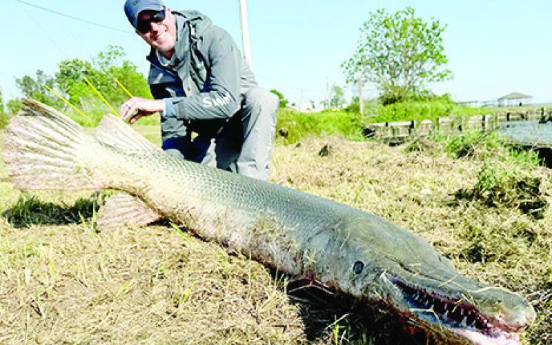 Light line specialist Art Weston with the 153 pound alligator gar he landed on April 8 at Lake Livingston. Caught on 2 pound test line, Weston’s catch is a pending line class record and the heaviest freshwater fish ever landed worldwide using 2 pound line. Courtesy Photo Art Weston