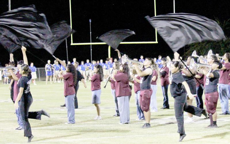 The Tenaha band and flag team stir up Tiger pride during halftime. Lauri Sisk | THS