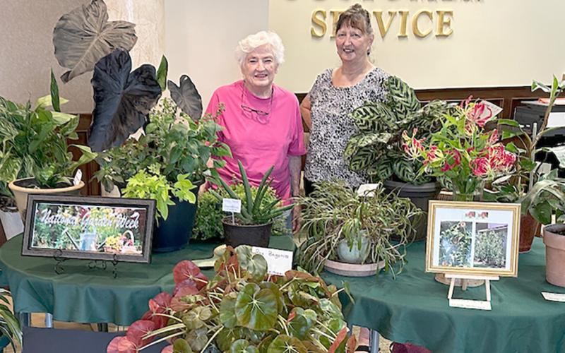 The Center Garden Club celebrated National Garden Club Week with a plant display at Farmers State Bank in Center. Pictured are (left to right) Janette Wittmann and Pam Sykes. (Submitted photo)
