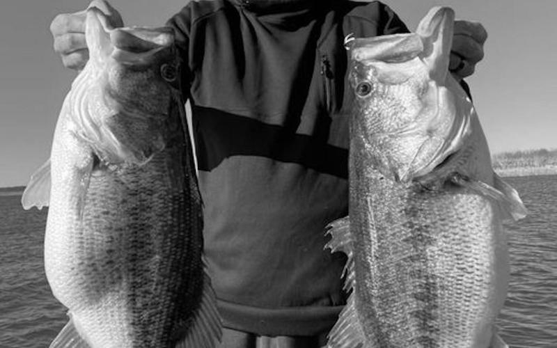Lunker Report