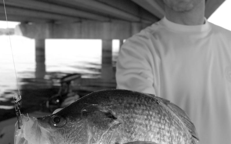 Lake Fork fishing guide Gary Paris believes that forward-facing sonar usage could lead to a negative impact on the abundance of large crappie in his home lake. He contends that many anglers are using the technology to deliberately target big females for harvest rather than settling for a limit of 10-12 inch fish. (Photo by Matt Williams)