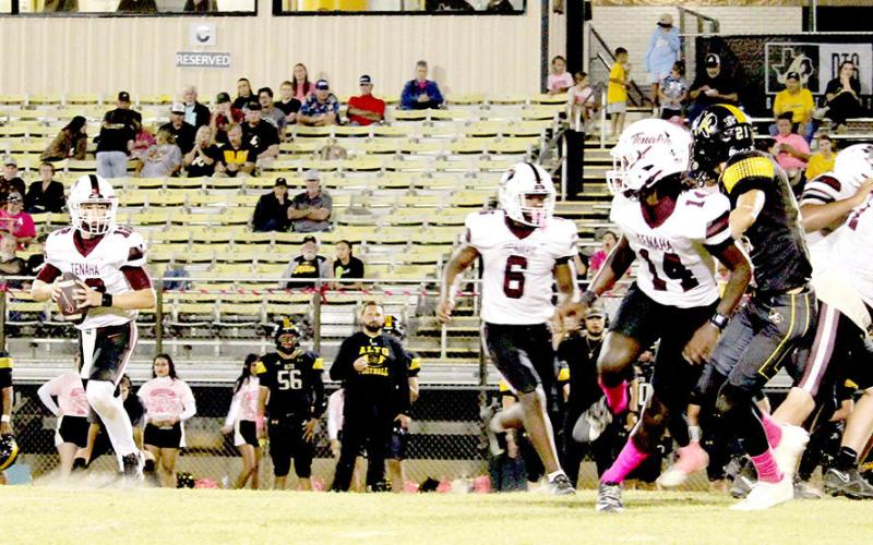 Quarterback Clayton Creech prepares to throw a pass as Christian Chambliss comes out of the backfield heading toward the flat in an effort to get open.