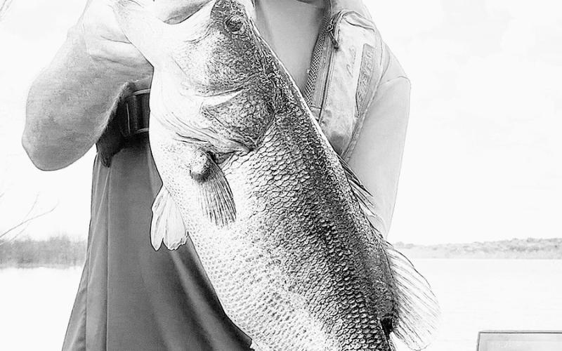 TPWD fisheries biologist Dan Bennett with a solid 9 pounder he caught and released by Bois d’ Arc Lake in Fannin County. Photo courtesy Dan Bennett