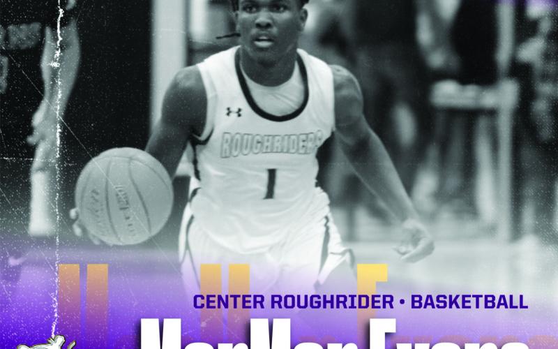 Basketball playoff round-up