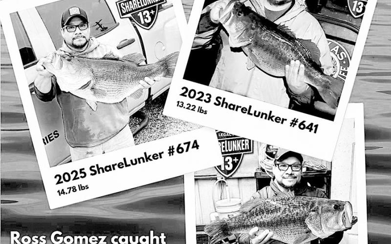 Ross Gomez of Post shocked the bass fishing world on Jan. 22 when he caught a 14.74 pound Toyota Legacy Lunker that was identified as the same fish that he caught in 2023 and 2025. TPWD Photo