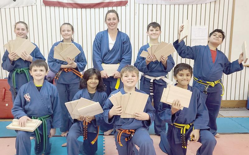 Taekwondo belt exams ranks up