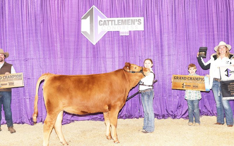 Charlotte Trux, 4th grader at Shelbyville Elementary, and her Akaushi heifer Starburst won Grand Champion Junior Showman and Grand Champion Fullblood Red Wagyu Female at Cattleman’s Congress in Oklahoma City, OK, in January 2026. Charlotte is active with Shelbyville FFA and Shelby County 4H. Starburst was bred by Pearl Wagyu in Center. Submitted | Light and Champion