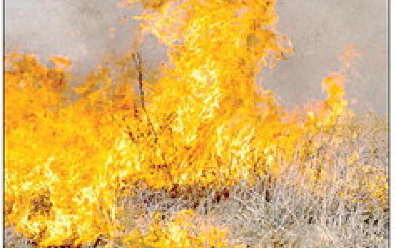 Prepare for wildfires as potential continues