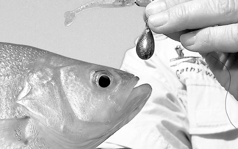 The Blakemore Roadrunner is a long-time favorite. The baits are available with a factory marabou trailer or a bare jig head (pictured here) for adding a plastic trailer. Photo by Matt Williams