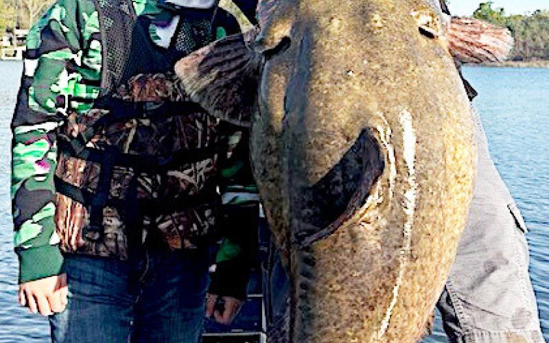 Tucker Sepaugh, 11, reeled in this massive 73-pound flathead catfish on March 19 at Lake Tyler while guided by forward-facing sonar expert William Oliver (right) of Chandler. The fat cat would have been a new state record for junior anglers under 17 had the youth not gotten some badly-needed help while fighting the fish. Photos courtesy Aaron Sepaugh
