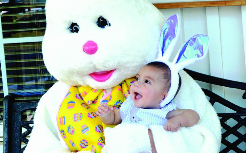 Baby Grayson was one of the many little ones who visited Town and Country Real Estate on Friday, April 18, to take a picture with the Easter Bunny. Since 2008, Town and Country has been providing free Easter Bunny photos, along with cookies, popcorn, and this year, a chance to win Egg-citing prize eggs. Zack Clark | Light and Champion