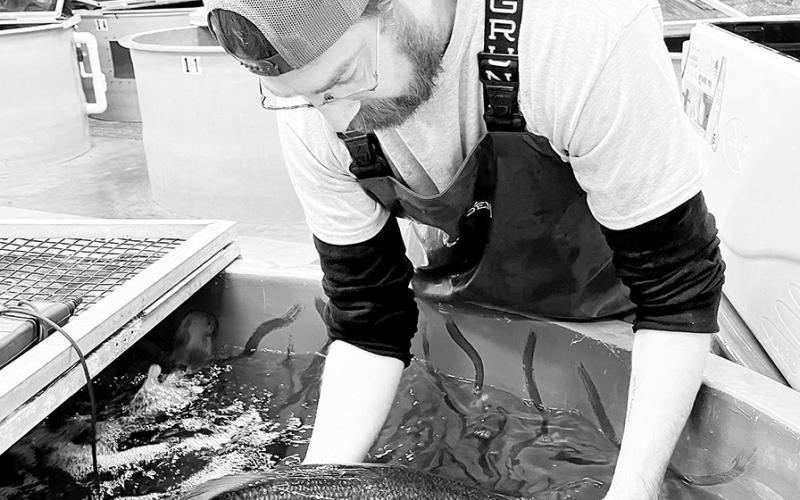 TFFC hatchery manager Donovan Patterson works with a Toyota Legacy Lunker at the program headquarters in Athens. TPWD Photo