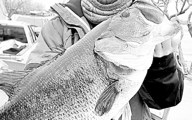 Oklahoma angler Brodey Davis with the 17.06 pound Legacy Lunker he reeled in at Lake O.H. Ivie Reservoir near San Angelo. The fish ranks as No. 7 heaviest Texas bass of all-time. TPWD File Photo