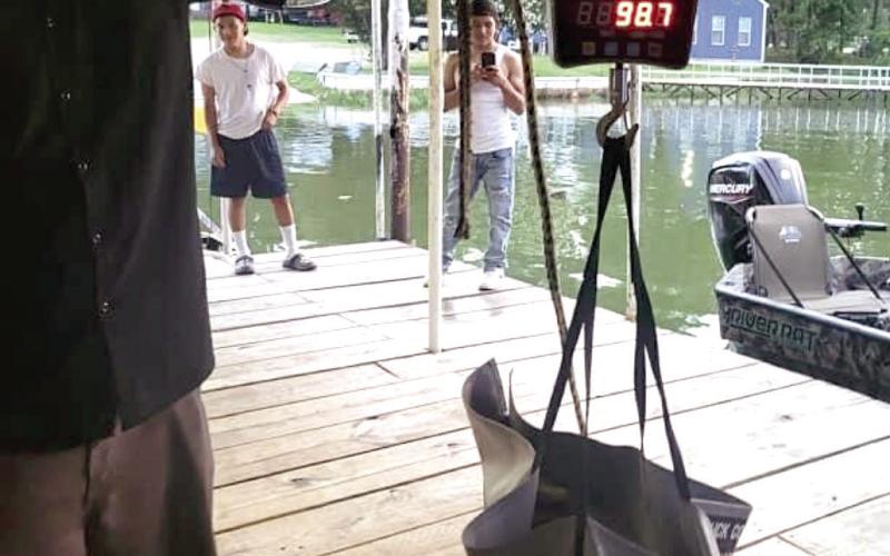 Noodlers recount cave brawl with 98.7 pound flathead, 14 feet down