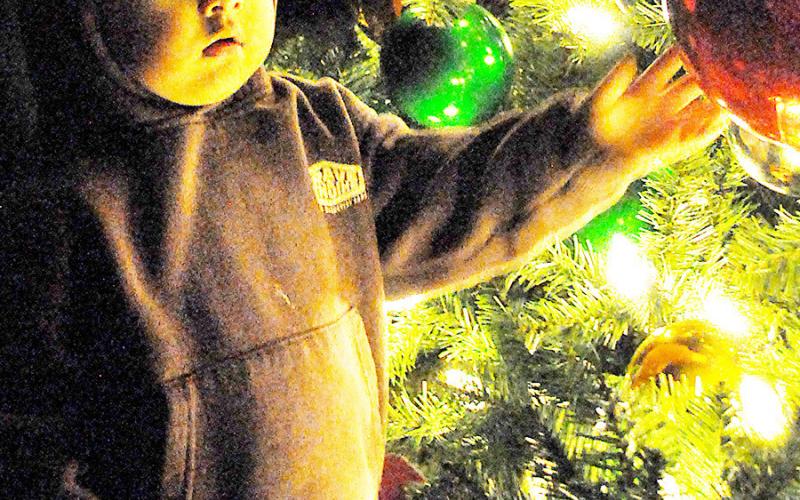 O, Christmas Tree