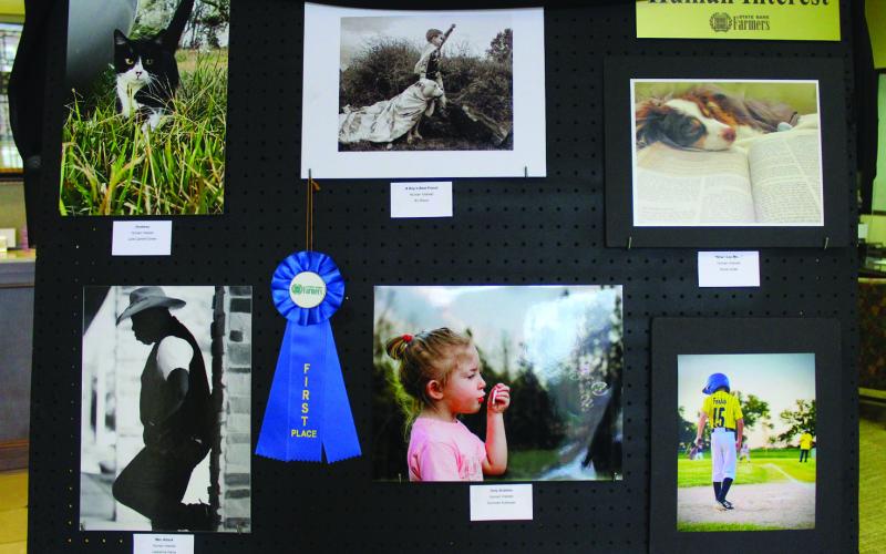 Winners announced in Farmers photo contest