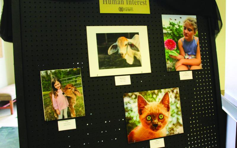 Winners announced in Farmers photo contest