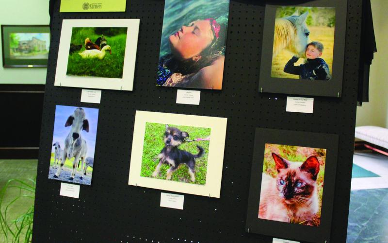 Winners announced in Farmers photo contest