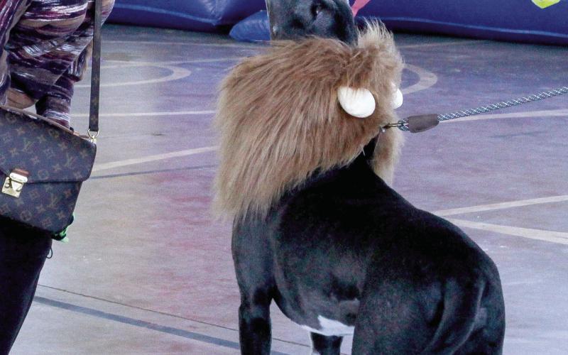 Howl-O-Ween turns into howling good time