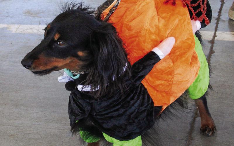 Howl-O-Ween turns into howling good time
