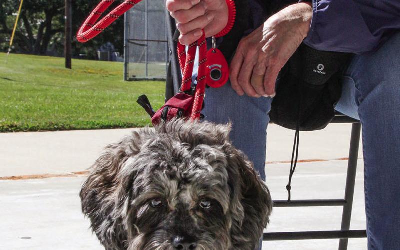 Howl-O-Ween turns into howling good time