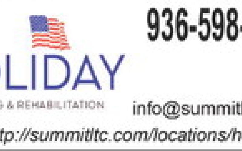 Alt Text for Image
