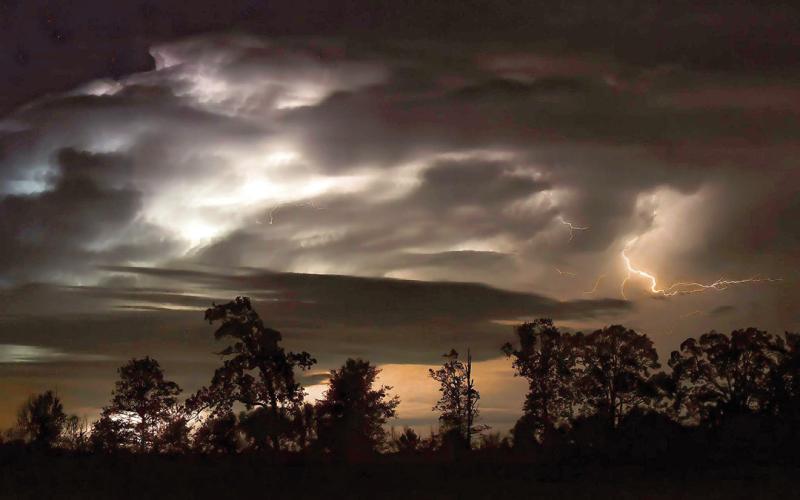 n the Heat of the Night by Bobbie J Wood