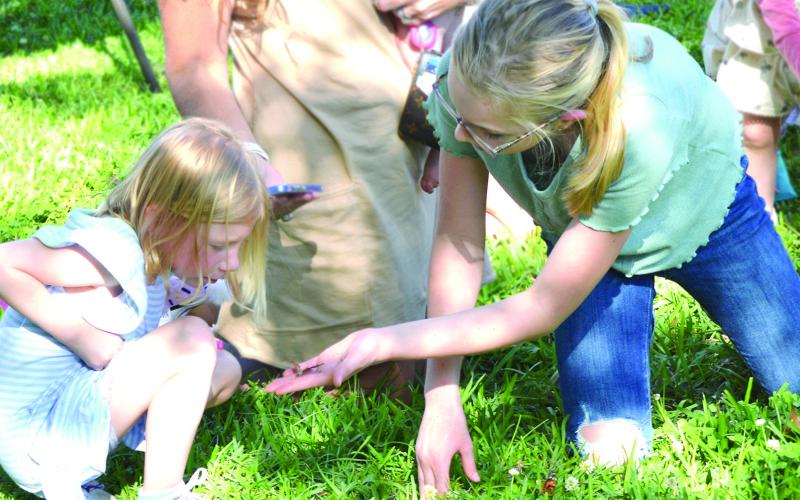BUTTERFLY RELEASE