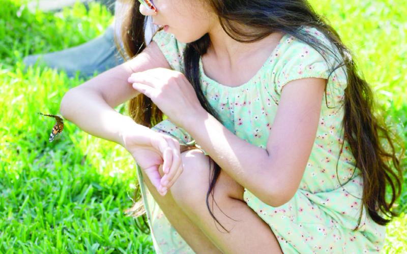 BUTTERFLY RELEASE