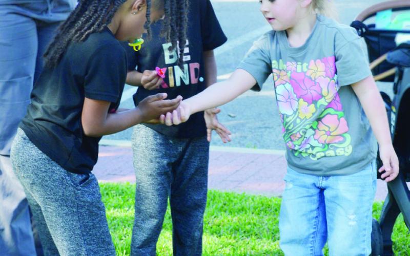 BUTTERFLY RELEASE