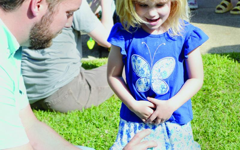 BUTTERFLY RELEASE