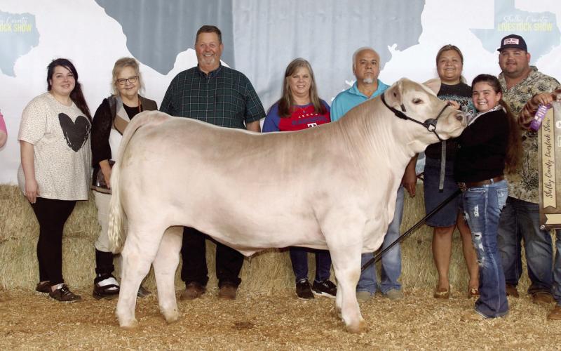4-H and FFA Livestock Show attracts 100-plus exhibitors
