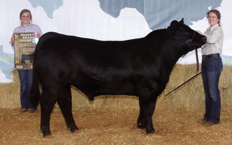4-H and FFA Livestock Show attracts 100-plus exhibitors