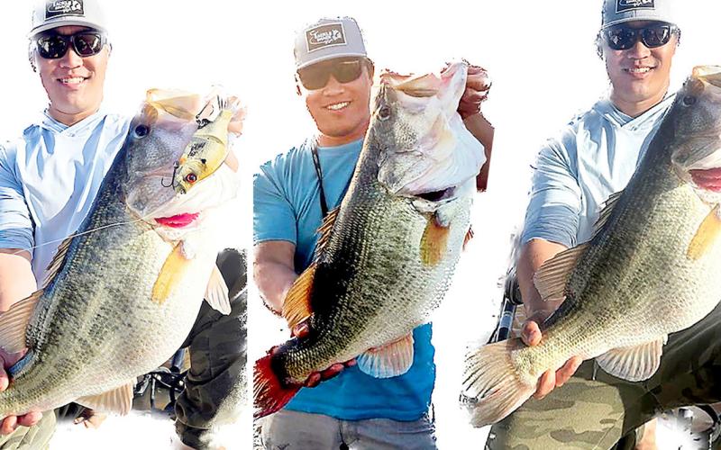 Lawrence Lee of Tolar displays the three Toyota Legacy Lunkers he caught from Lake J.B. Thomas during March. Lee is the first angler in the 40-year history of the program to turn in three Legacy Lunkers during the same collection season. He is also the first to catch two on the same day. TPWD Photos