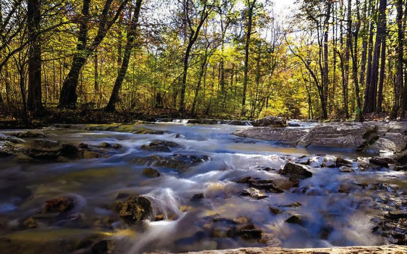 Photo Society hears workshop, votes challenge favorites