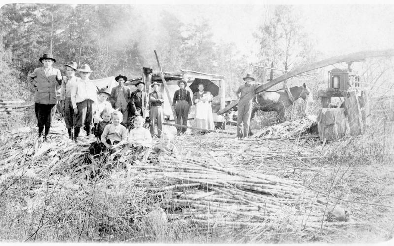 Hairgrove family plans reunion