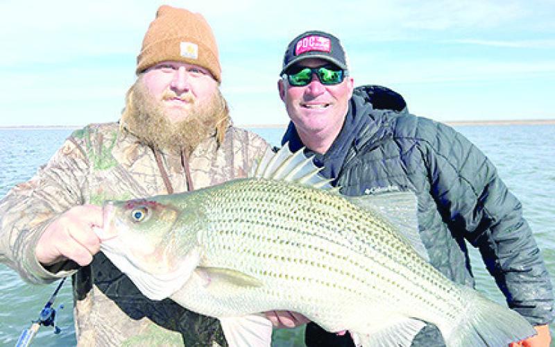 T.J. Jenkins of Yantis was recently notified that the 13.15-pound hybrid striper caught in January at Lake Cooper has been certified a new lake record. The catch beats out the previous record of 11.97 pounds caught by Denise Ann Malone in February 2013. Courtesy Photo, Michael Littlejohn