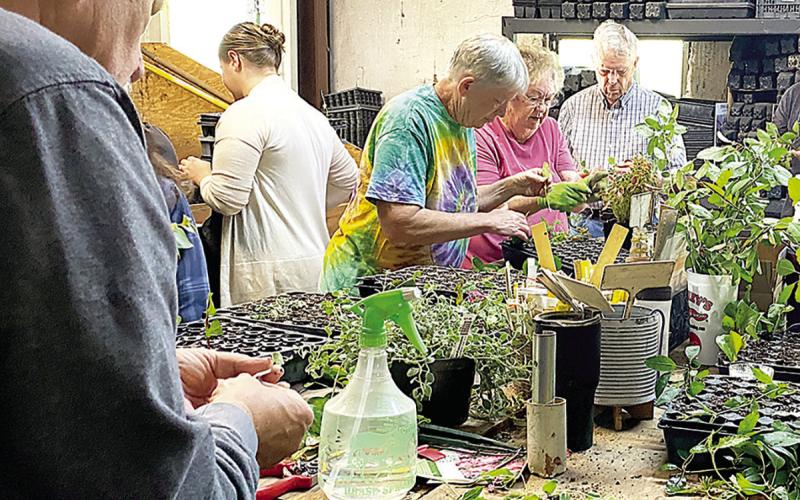 Tenaha native Dr. Andrew King will teach a plant propagation workshop May 9 at SFA.