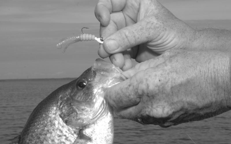 A small jig fished on light line is a good choice when targeting crappie that are suspended around brush piles, old timber or bridges. When all else fails, switch to a minnow. (Photo by Matt Williams)