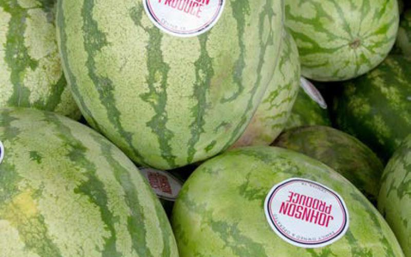 Nothing is better than farm fresh watermelon. Leon Aldridge | Light and Champion