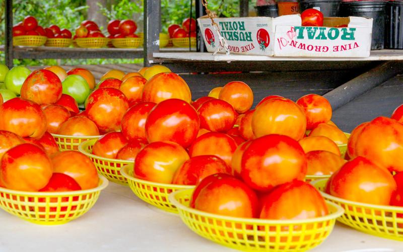 Red ripe tomatos are also available at Mr. Johnson’s produce stand. Leon Aldridge | Light and Champion