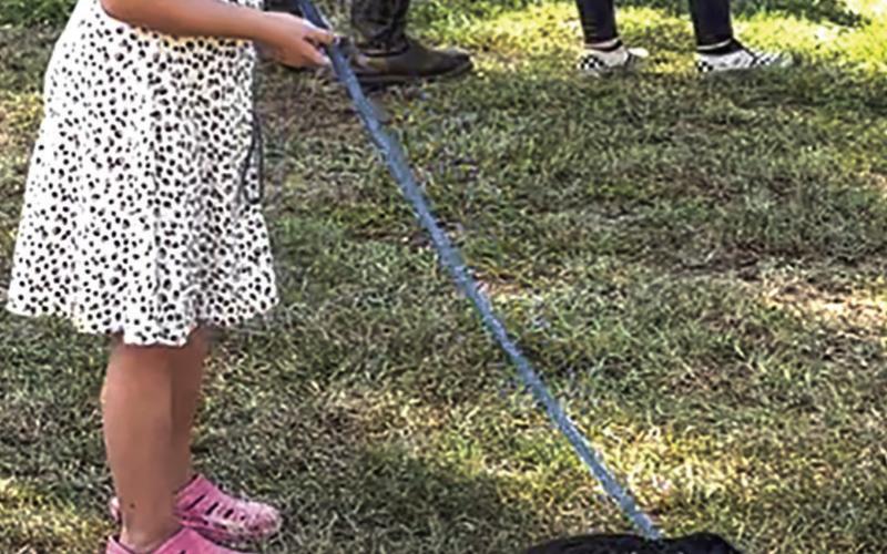 A Happy Tails Live Adoption Event and Open House Saturday, August 24 drew a steady crowd of supporters. The Happy Tails event was held at their new location 664 TX-7 E in Center. Free adoptions were available for more than 20 dogs and one cat. The celebration included balloon animals by Chasing a Twist, a bounce house provided by Giant Leap Rentals, snacks, shelter tours, and an opportunity to meet the staff of Happy Tails.