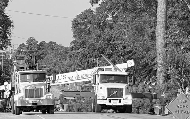 Tree removal halts San Augustine street traffic Traffic on San Augustine Street was closed at Field Street for a time Monday morning. A large tree was removed at the intersection of the two streets. San Augustine Street was closed from Martin Street to Houston Street beside the active courthouse for most of the morning until the tree removal was completed.
