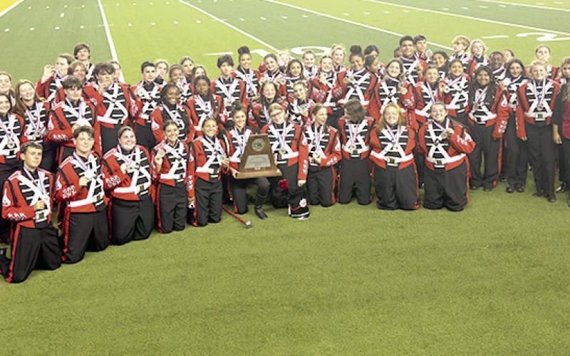 Silver Band Dragons