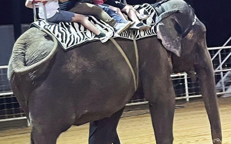 Left - Circus attendees took advantage of purchasing elephant rides at last week’s Mysterious Circus at the Expo Center in Center. Ashley Chandler Light and Champion