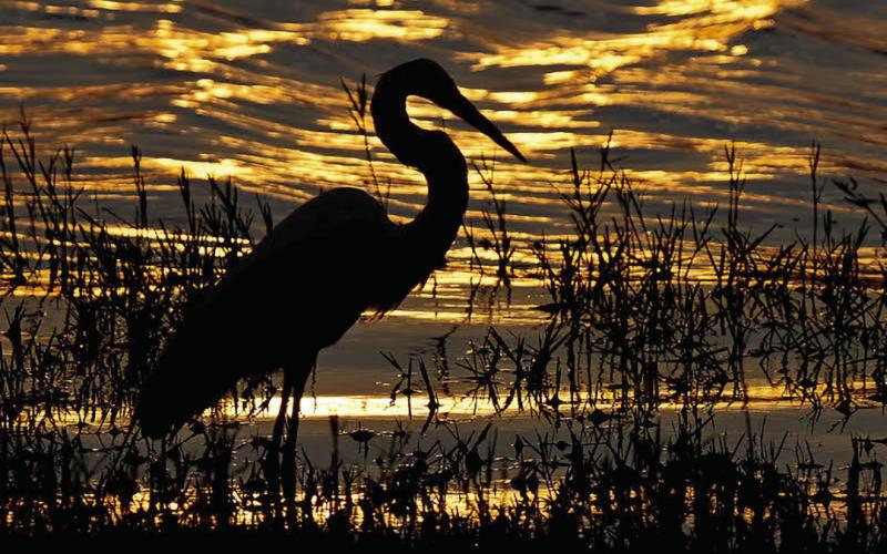 ‘Sunset On The Lake’ by Bobbie Jean Wood